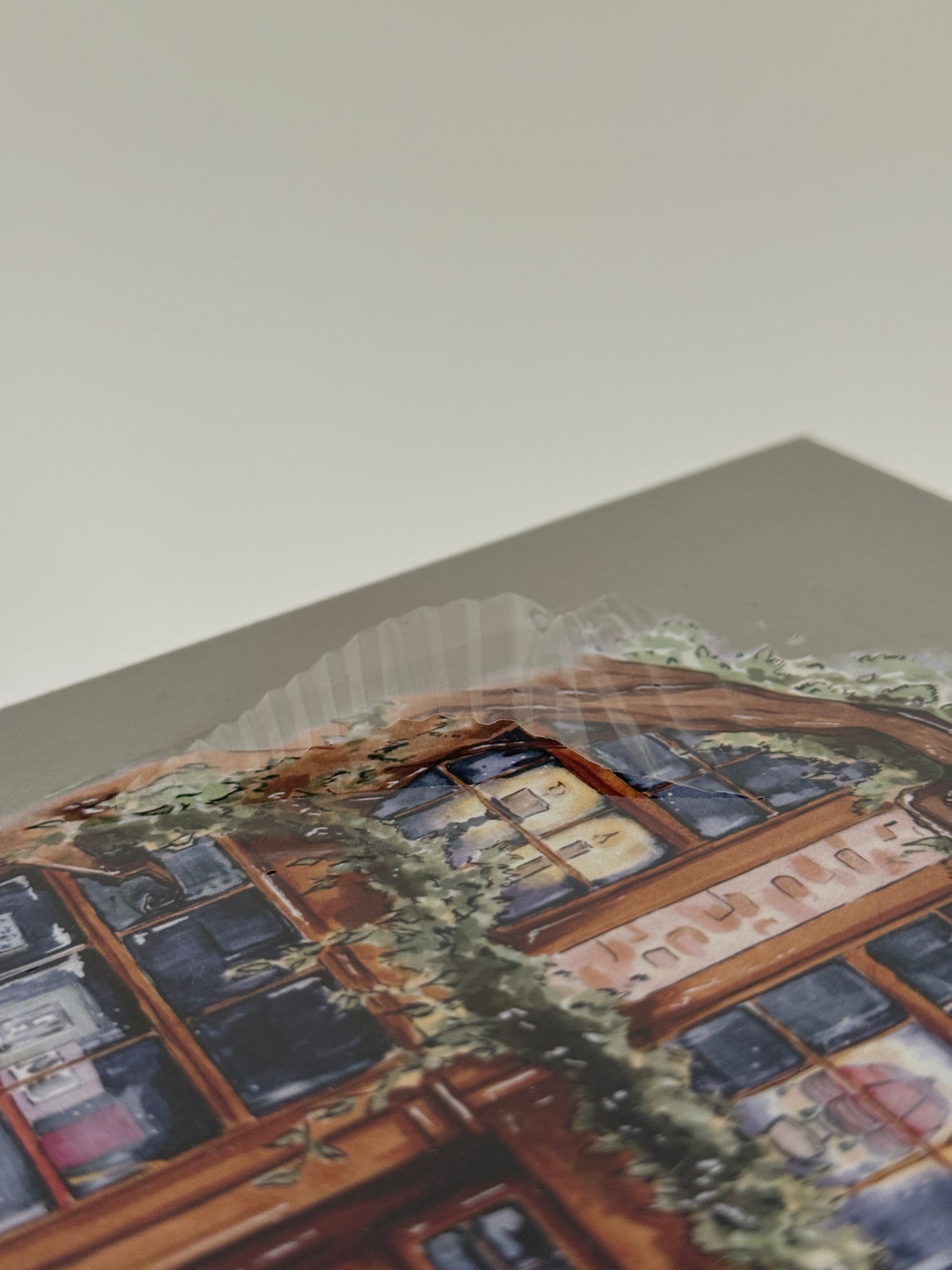 The Red Bookshop: The Puzzle (IMPERFECTLY PERFECT)